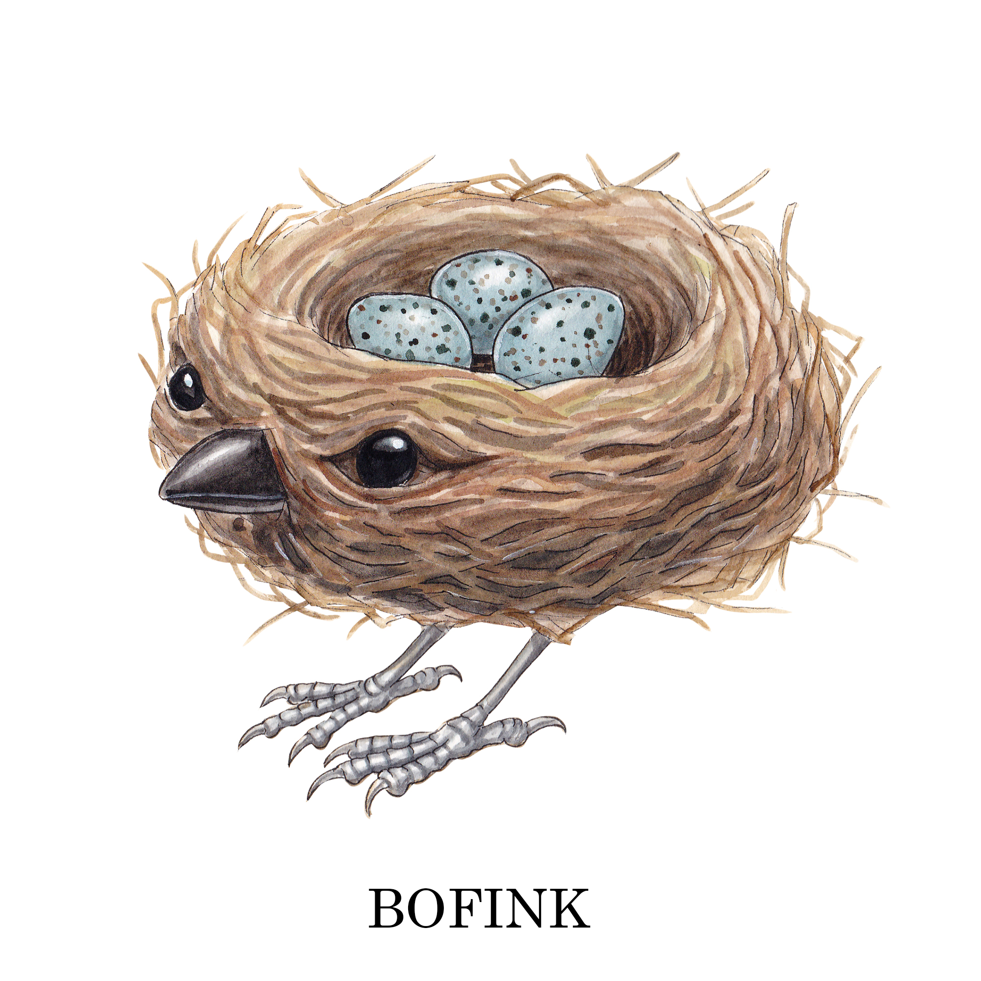 Bofink