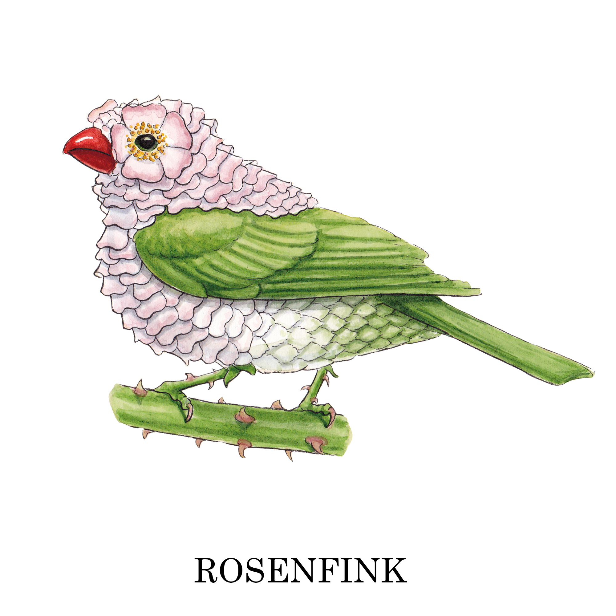 Rosenfink