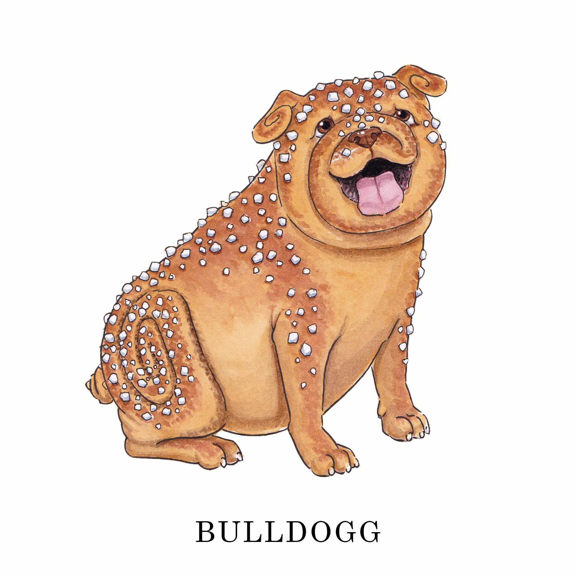 Bulldogg
