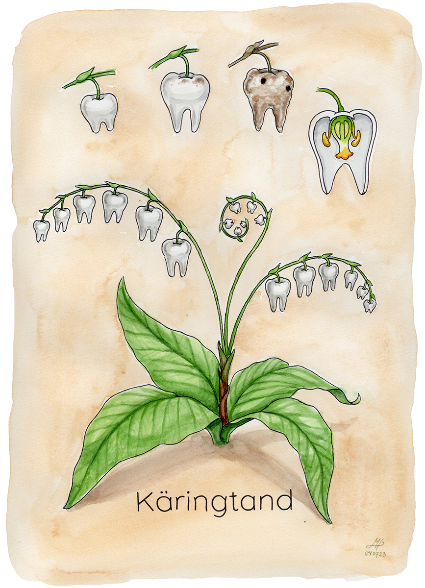 K ringtand Illustrerad Ordvits Bokstavligt M lat k-ringtand-illustrerad-ordvits-bokstavligt-m-lat